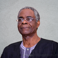 Professor Akin Iwayemi
